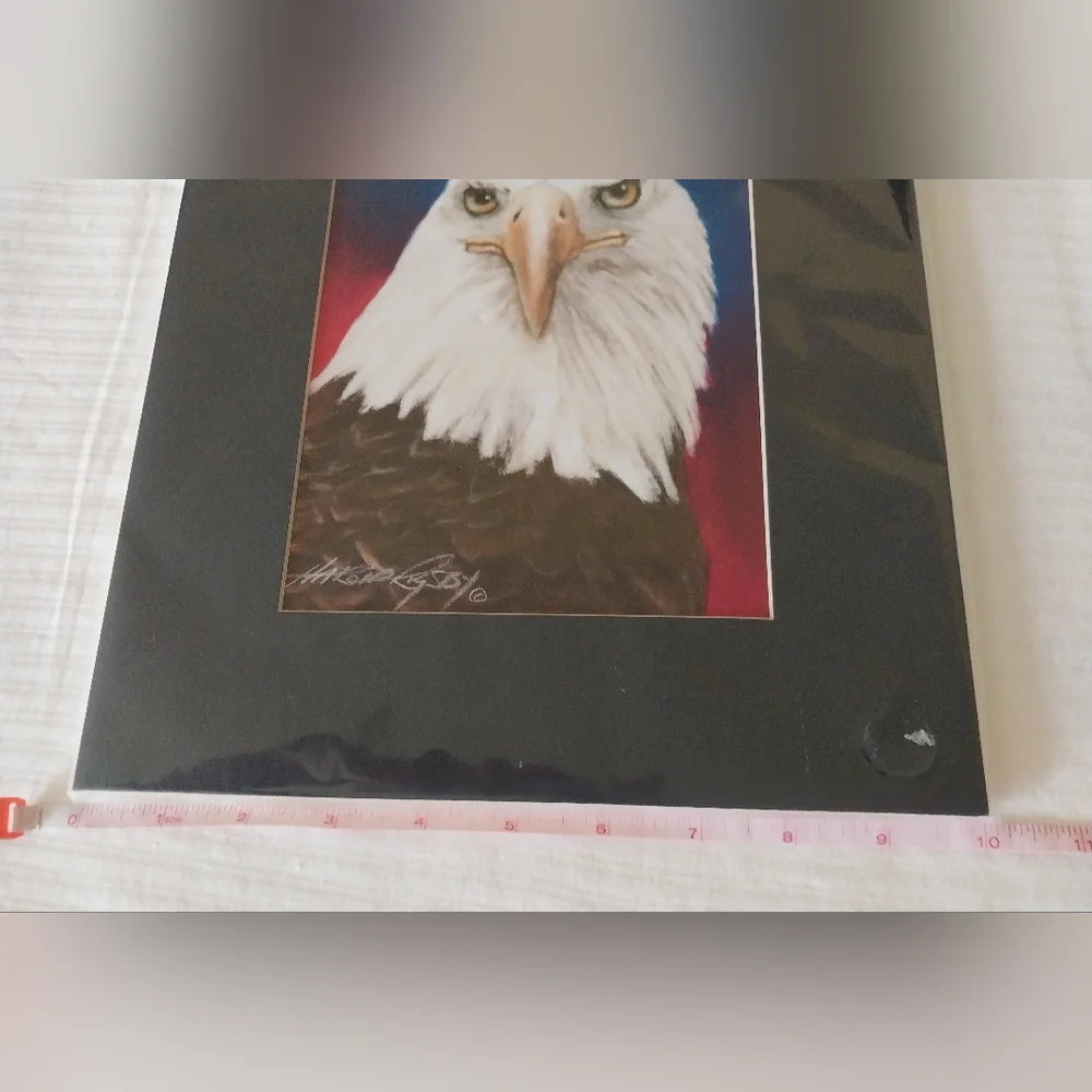 Bald Eagle print - Picture 7 of 15